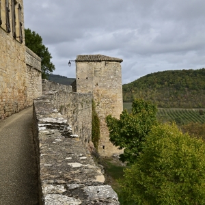 d787959-castelnau-de-montmirail-0022-michel-pour-espace-fr