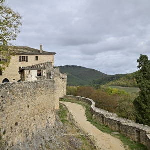 d787960-castelnau-de-montmirail-0023-michel-pour-espace-fr