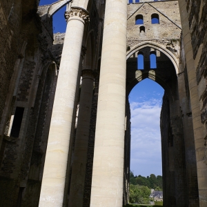 d787589-bis-abbaye-de-hambye0032-michel-pour-espace-fr