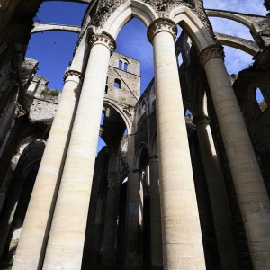 d787594-bis-abbaye-de-hambye0038-michel-pour-espace-fr