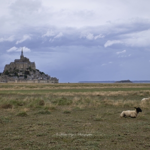 d787802-bis-mt-st-michel-0232-michel-pour-espace-fr