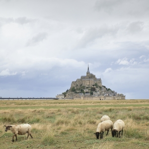 d787806-bis-mt-st-michel-0238-michel-pour-espace-fr