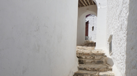 d787988-hydra-341_1-blurbgrand-michel-pour-espace-fr