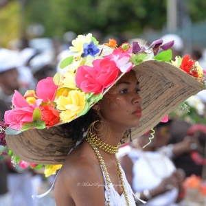 guadeloupe-2014-d61_0983-michel-pour-espace-fr