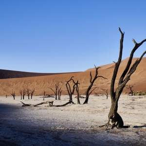 d785833-pano-michel-pour-espace-fr