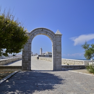 d784252-bis-trani-0794-michel-pour-espace-fr