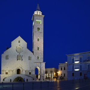 d784308-bis-trani-0837-michel-pour-espace-fr