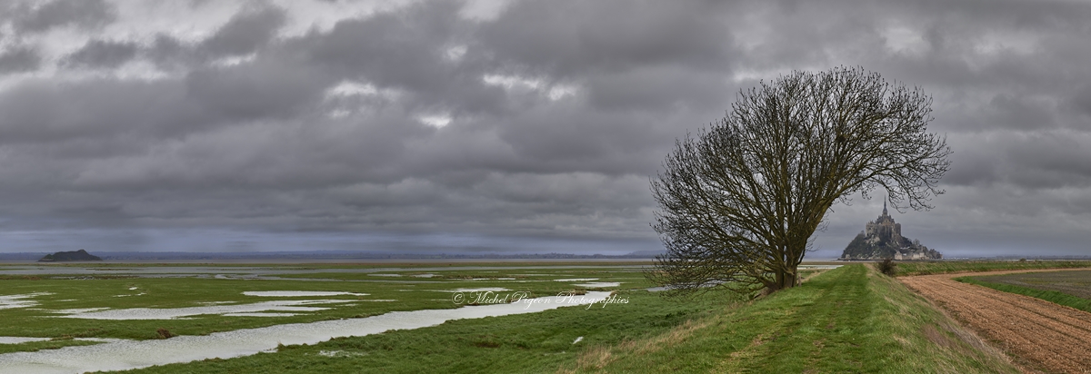 d789263_panorama-michel-pour-espace-fr