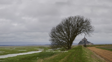 d789261_panorama-michel-pour-espace-fr