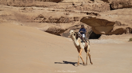 d780668-wadi-rum-bis-michel-pour-espace-fr